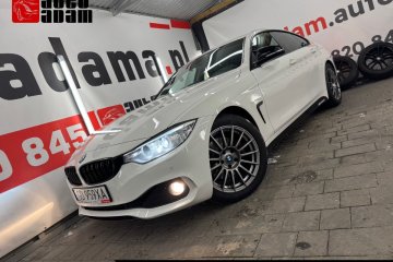 grandcoupe Polski salon od osoby prywatnej bezwypadkowy 2x alu 17 i 18