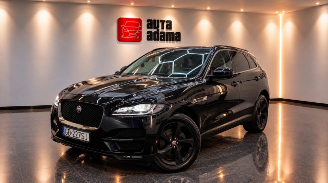 jaguar