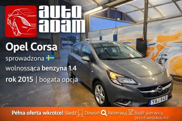 przestronny bezpieczny bezwypadkowy import Szwecja 1.4 benzyna manual